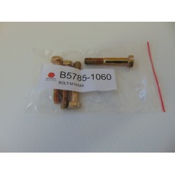 BOLT M10x60 B5785-1060