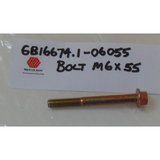 BOLT M6x55 GB16674.1-06055